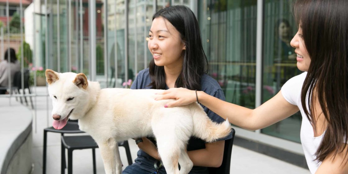 Betsy Fu, Software Engineer