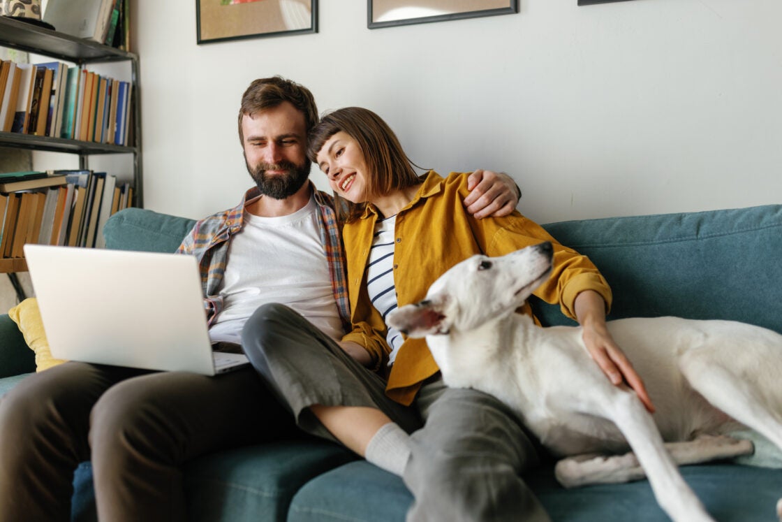 Laptop couple pet living room online happy. Boy and girl accompanied by four-legged relaxing on sofa, gazing at notebook display and sharing positive emotions, while hanging out at home ambience